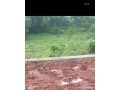 plots-and-house-for-sale-in-goa-small-0
